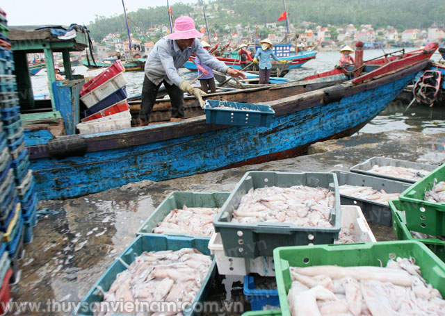 thanh hóa phát triển thủy sản trước biến đổi khí hậu